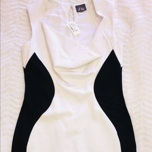 Black and White fitted Dress